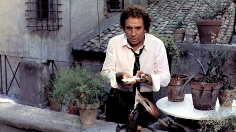 The Cat still