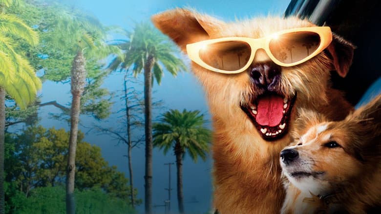 Dr. Dolittle: Million Dollar Mutts still