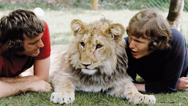 A Lion Called Christian still
