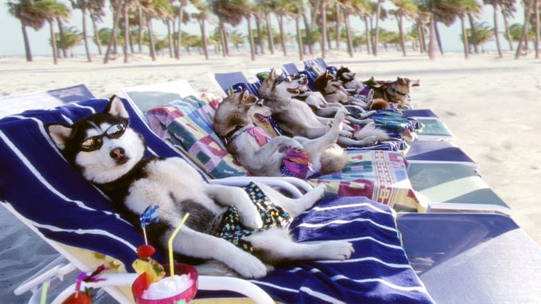 Snow Dogs still