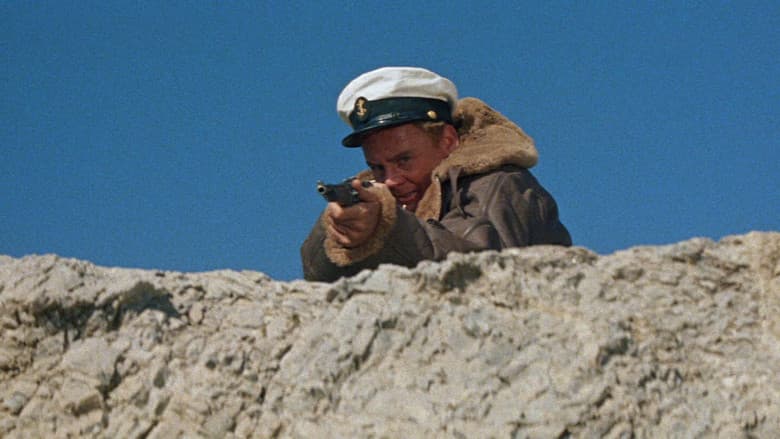 Action of the Tiger still