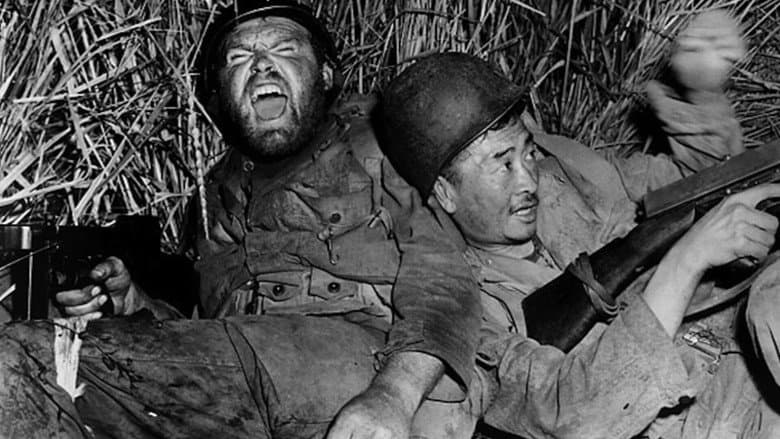 The Steel Helmet still