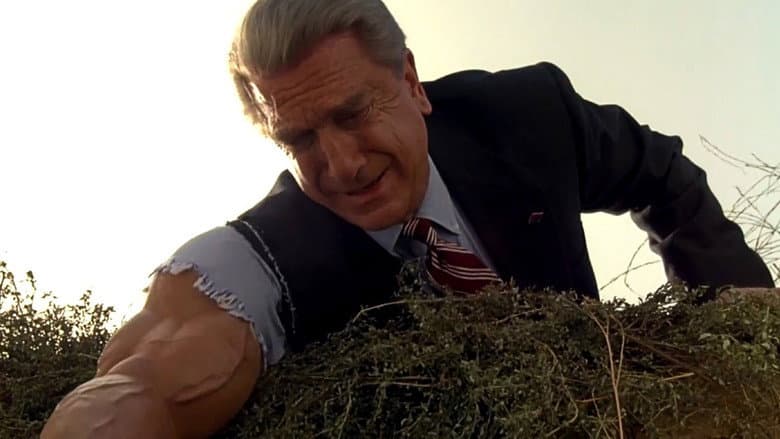 Spy Hard still
