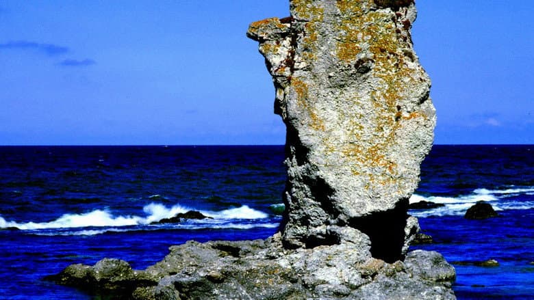 Bergman Island still