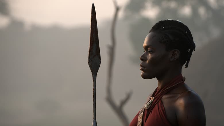 The Woman King still