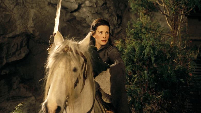The Lord of the Rings: The Fellowship of the Ring still