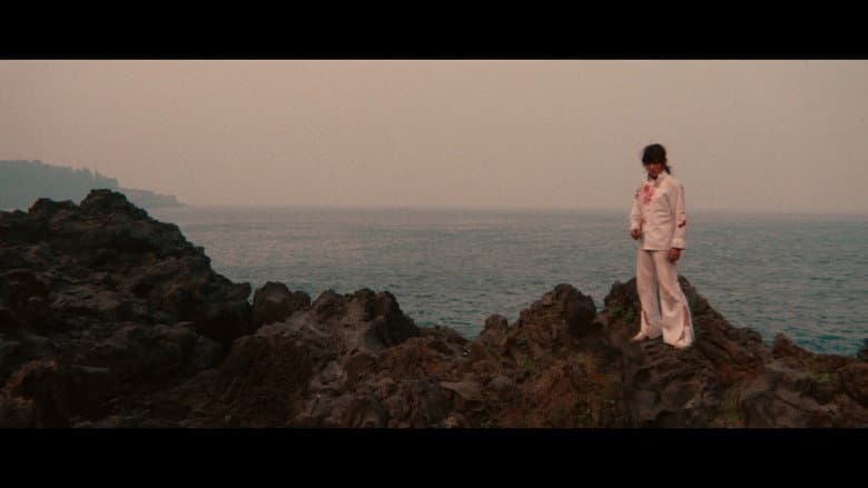 Sister Street Fighter still