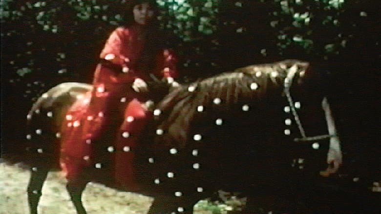 Kusama's Self-Obliteration still