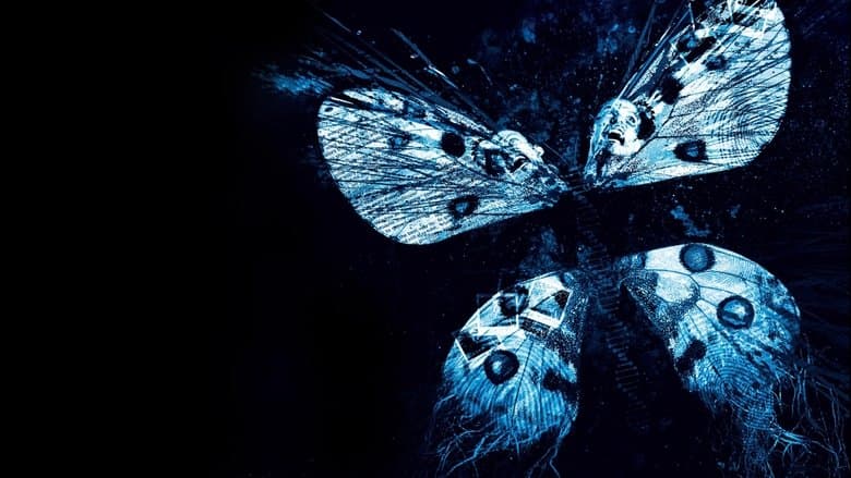 The Butterfly Effect 3: Revelations still