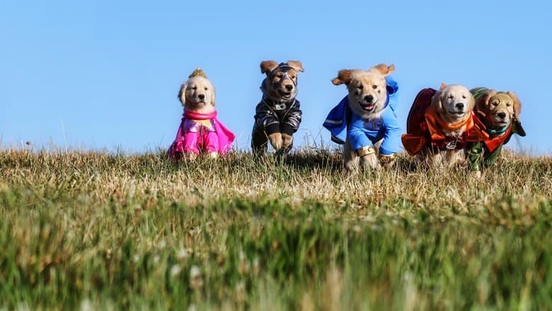 Super Buddies still
