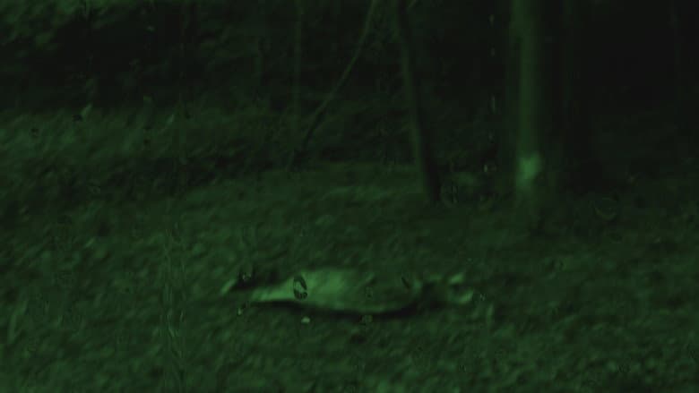 Horror Movie still
