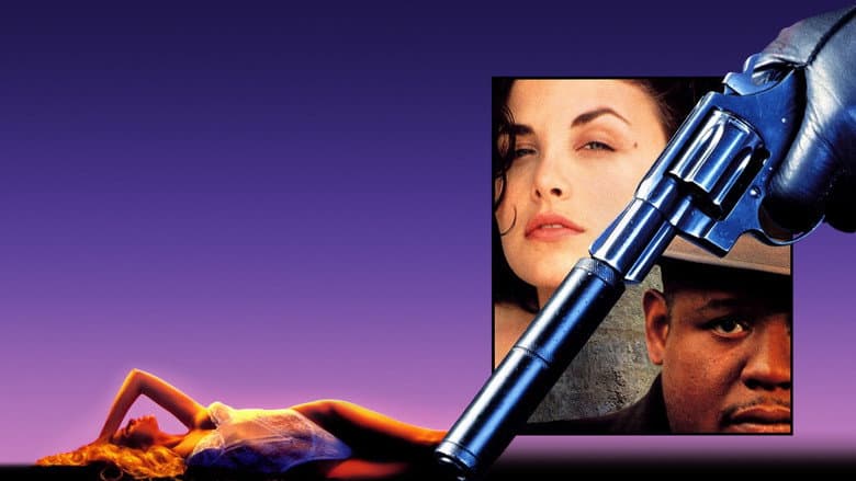 Diary of a Hitman still
