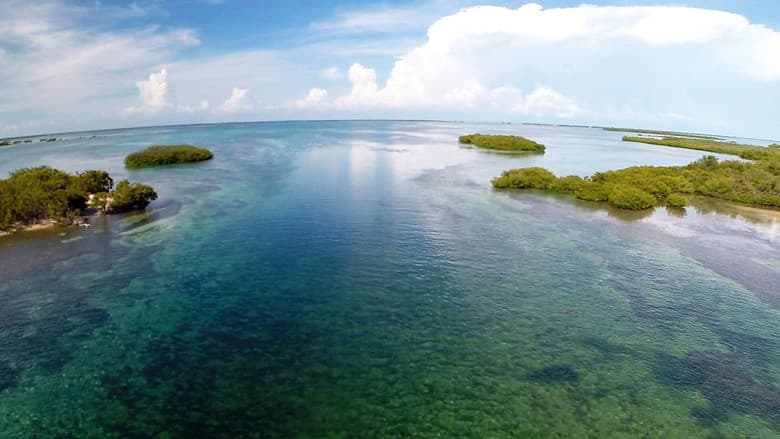 Castro's Secret Reef still