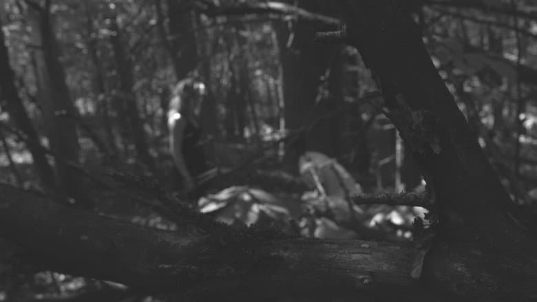 The Poet still