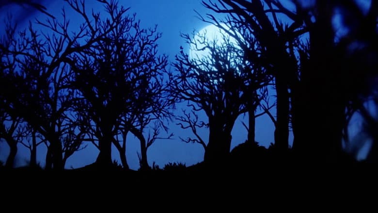 Pet Sematary II still