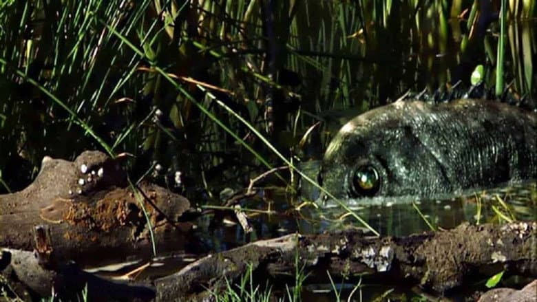 Razortooth still