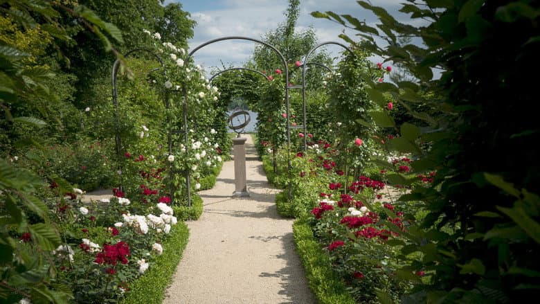 Painting the Modern Garden: Monet to Matisse still