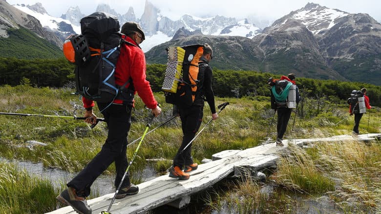 Patagonia Wings still