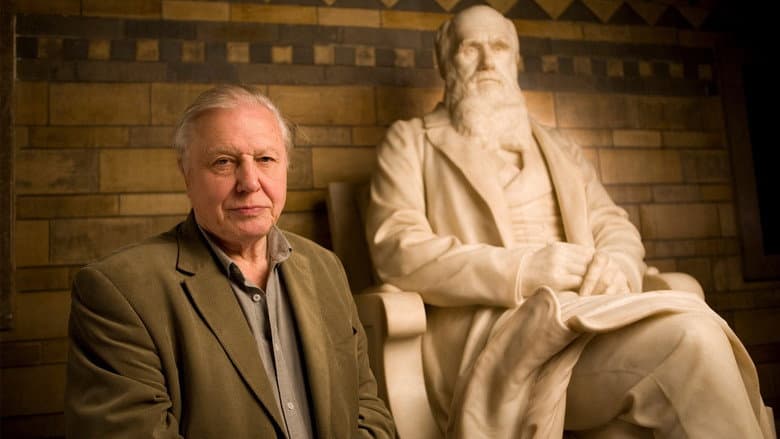 Charles Darwin and the Tree of Life still
