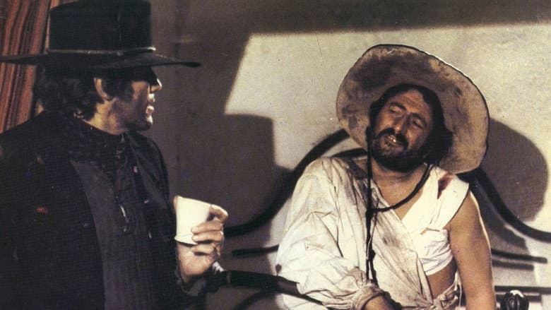 Viva! Django still