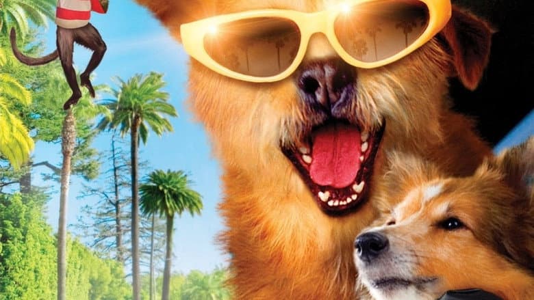 Dr. Dolittle: Million Dollar Mutts still