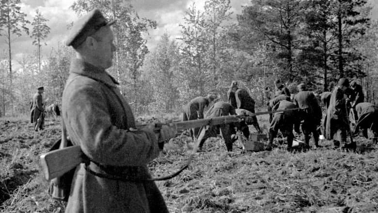 Stalin and the Katyn Massacre still