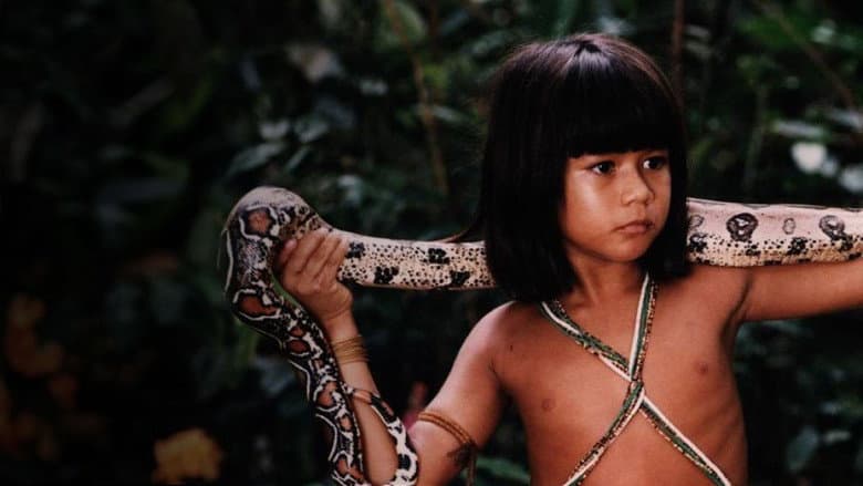 Tainá: An Amazon Adventure still