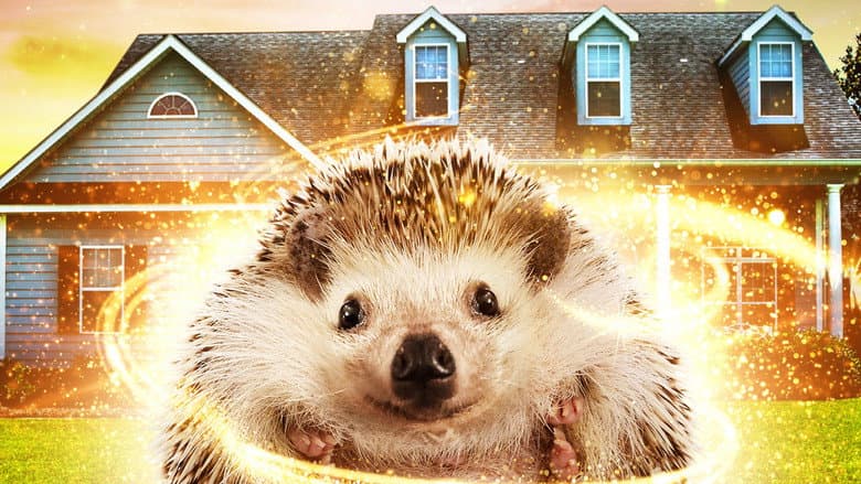 Andy the Talking Hedgehog still