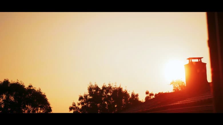 Dawn's Sunset still