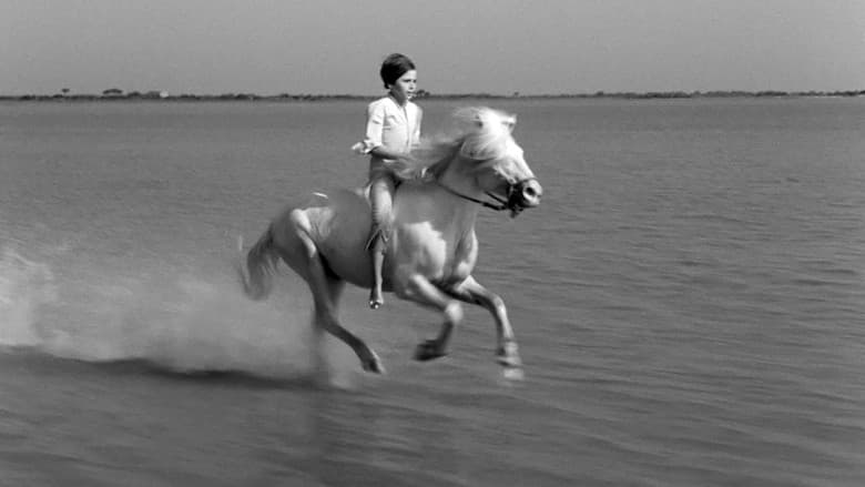 White Mane still