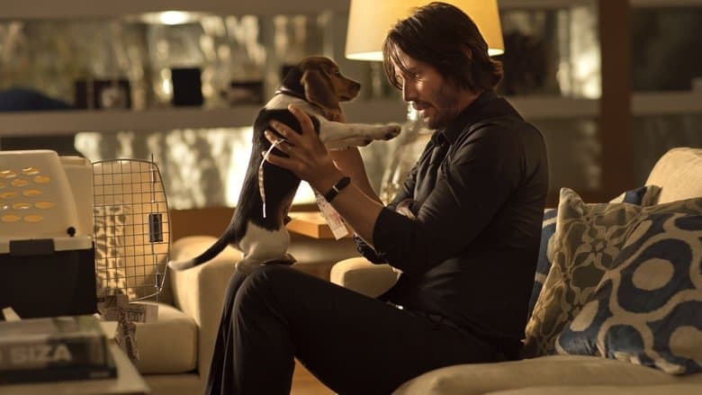 John Wick still