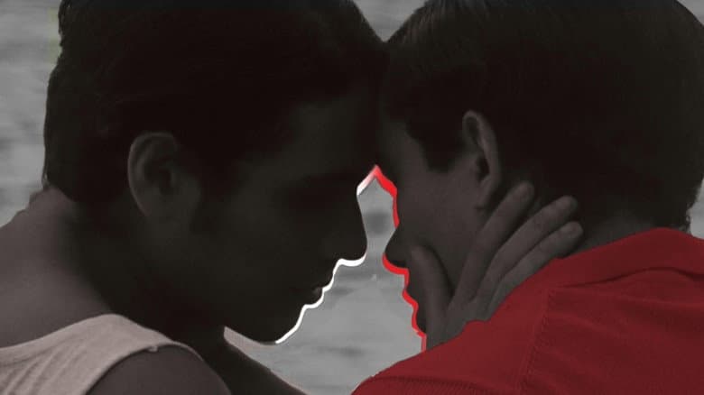 Rio Vermelho still