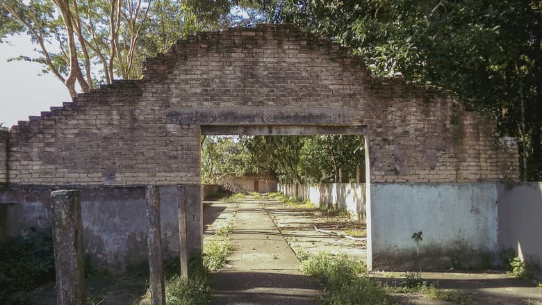 o céu diante dos meus olhos nunca é cinza still