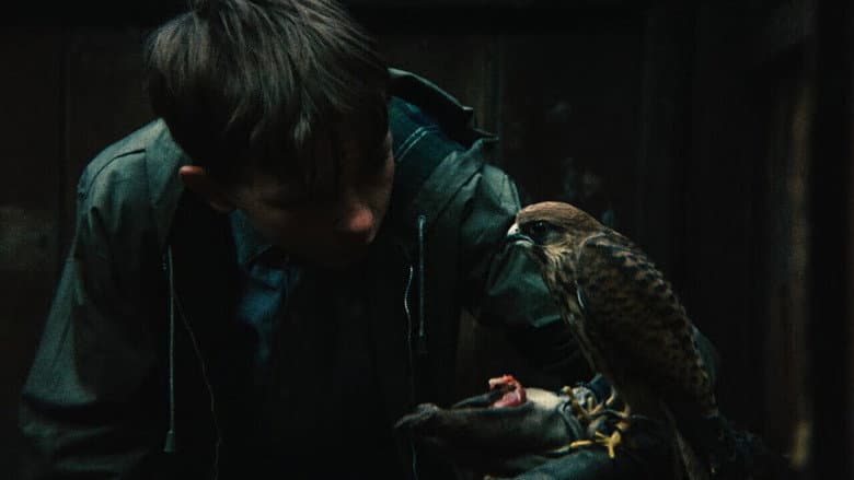Kes still