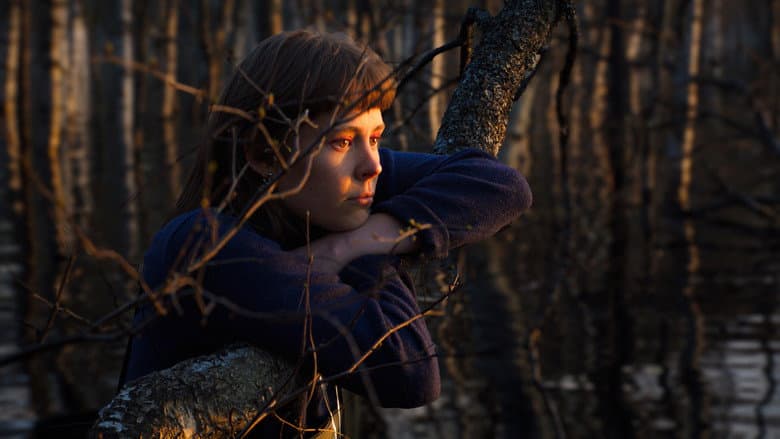 Once Upon a Time in a Forest still
