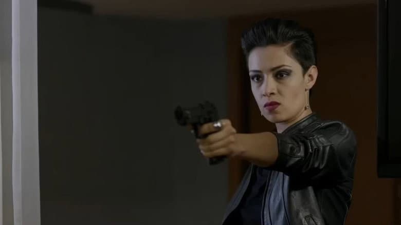 Perras de barrio 2 still