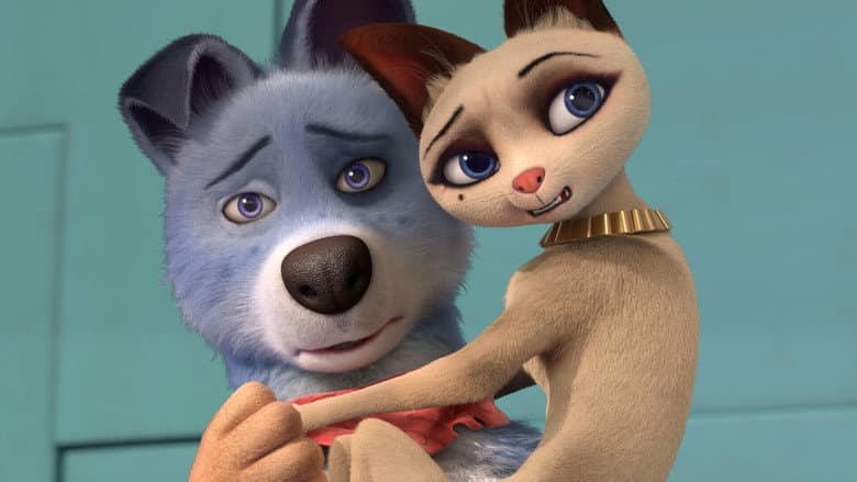 Pets United still
