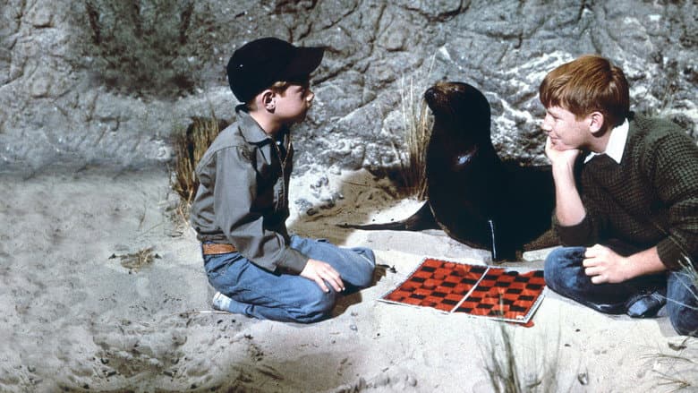 Sammy, the Way-Out Seal still