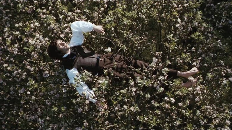 Bright Star still