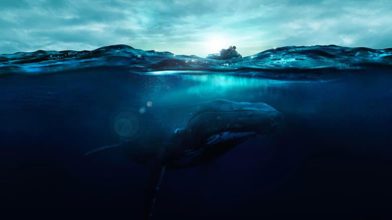 Fathom still