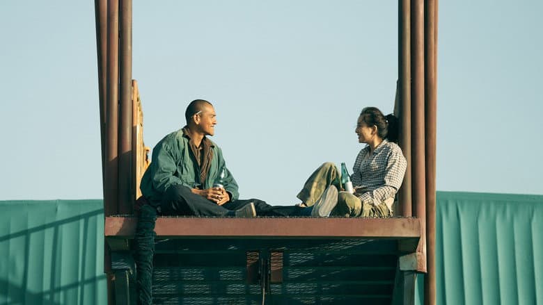 Black Dog still
