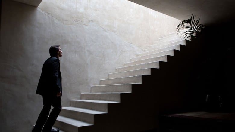 Knight of Cups still