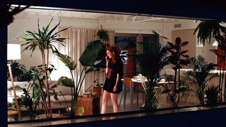 Monstera still