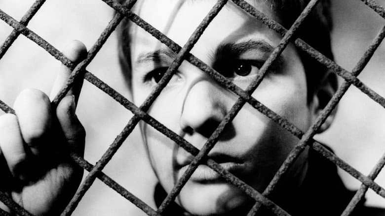 The 400 Blows still