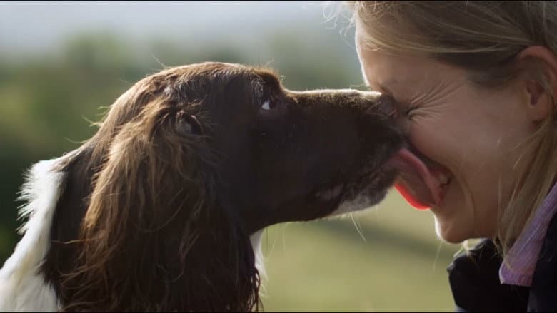 The Secret Life of Dogs still
