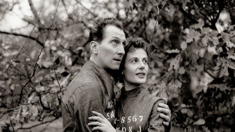 Nineteen Eighty-Four still