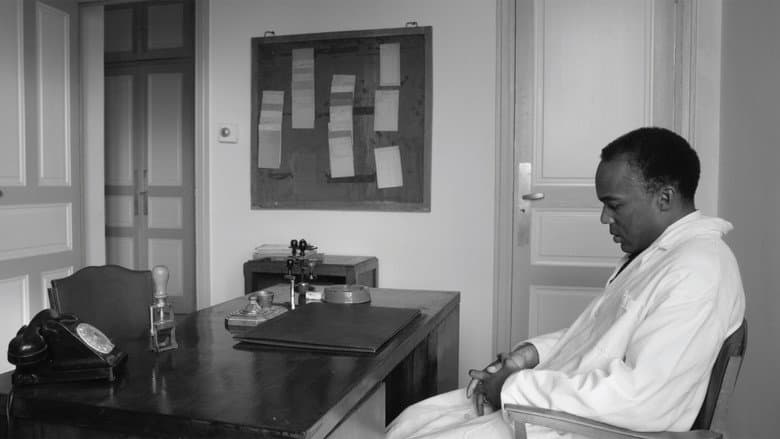 True Chronicles of the Blida Joinville Psychiatric Hospital in the Last Century, when Dr Frantz Fanon Was Head of the Fifth Ward between 1953 and 1956 still