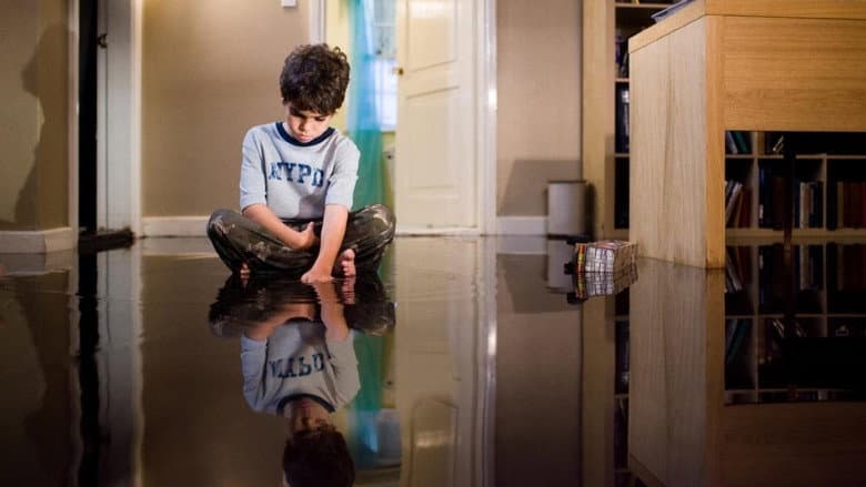 Mirrors still