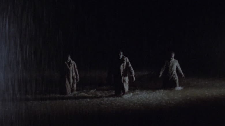 Wolf still