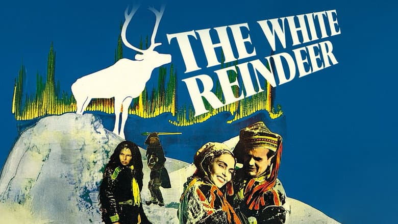 The White Reindeer still